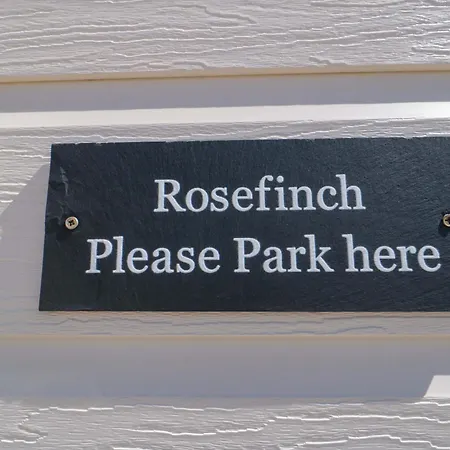 Rosefinch 스카버러